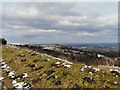 SJ9793 : View across Werneth Low by Gerald England