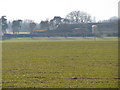 Field on Kingstone Hill