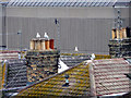 Rooftops of Hove, East Sussex