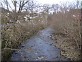 Gynack Burn from bridge, Kingussie