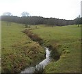 Stream from Apsley Wood