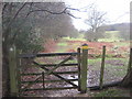 Gate near Apsley Wood