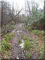 Bridleway in Apsley Wood