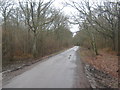 TQ9834 : Birchett Lane in Orlestone Forest by David Anstiss