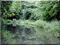 Stratford-upon-Avon Canal near Brandwood End, Birmingham