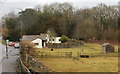 Two Shetland ponies grazing in a field beside Newport Road, Llantarnam