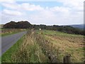 Traditional haymaking near Highcliffe