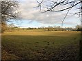 Pasture, Rushmere Farm