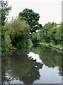 Stratford-upon-Avon Canal near King