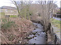 Langley Burn, Haydon Bridge