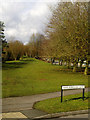 Landscaping, Marlborough Lane, Swindon