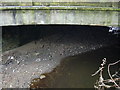 River Brun emerging from the Church Street Culvert