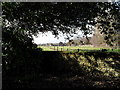 Looking over the church wall at St Mary, Walberton