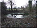 Pond by Picket Well