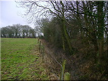SE6026 : Field  edge  near  Burn  Lane by Martin Dawes