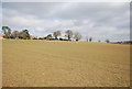 Looking across a field towards Church Rd, Mountfield