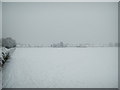 Caedelyn Park in the snow,  Rhiwbina