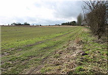 TM3598 : Farmtrack skirting field south of Sisland by Evelyn Simak