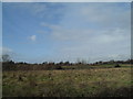 Farmland west of St Mary