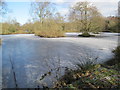 Frozen Pond at Cracrop Farm