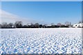 SU5803 : Bridgemary under snow - Nobes Avenue Recreation Ground (5) by Barry Shimmon