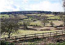 SO6811 : View to Blaize Bailey by Pauline E