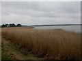 Turlin Moor, Lytchett Bay