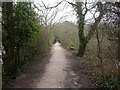 Upton, cycleway