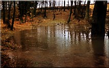 SE2309 : Flash flood in Wither Wood, Denby Dale by Les Shaw