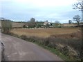 Reed beds and South Farm, by river Otter