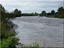 SO8630 : The River Severn at Deerhurst by Chris Gunns