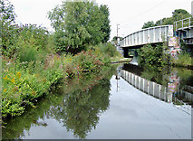 SP0482 : Worcester and Birmingham Canal near Bournbrook, Birmingham by Roger  Kidd