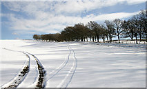 NT4827 : A snow-covered field at Smedheugh by Walter Baxter