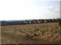 View southwest from Clopton Tower