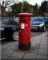 Postbox, Belfast