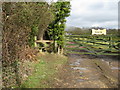 Narrow footpath beside entrance to Pinto