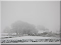 Snowy pastures and woodland near Scotch Halls