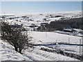 Snowy East Allen Dale at Sipton (2)