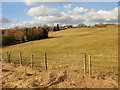 Farmland, Gwrhay