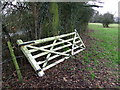 Old Wooden Gate