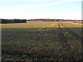 Farmland North of Jenny Brough Lane