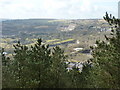 View from Trig Point In Big Plantation