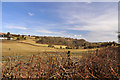 View from Heol-y-Parc - Pentyrch