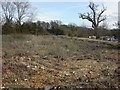 Buckland, waste ground