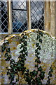 Churchyard detail, Great Blakenham