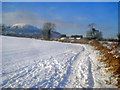 Snow-covered fields near North End Farm