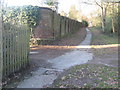 Footpath junction on Cabbage Stalk Lane