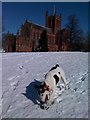 Snowy grounds of the Crichton