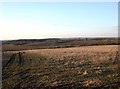 View towards Spurshill Barn from New Road