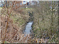 Close Brook and culvert